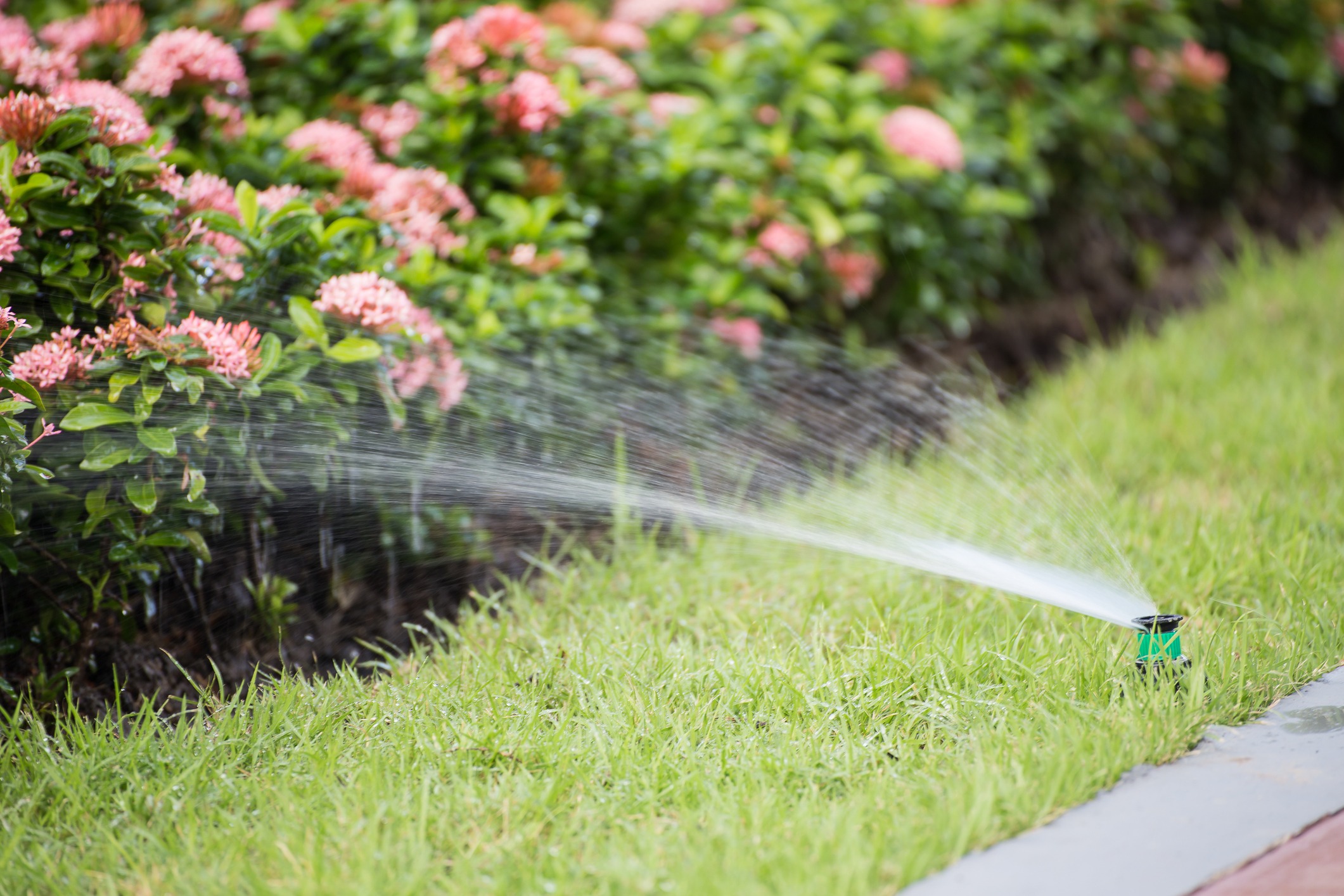 Miller Irrigation & Landscape Lighting